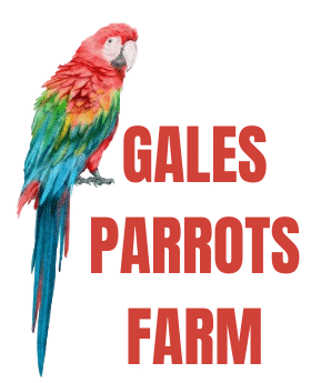 Gales
